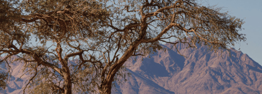 Hardip Testing Cover Image